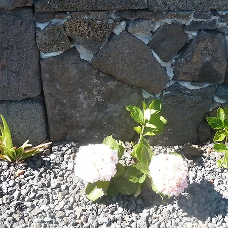 Casas Alto Da Bonanca *