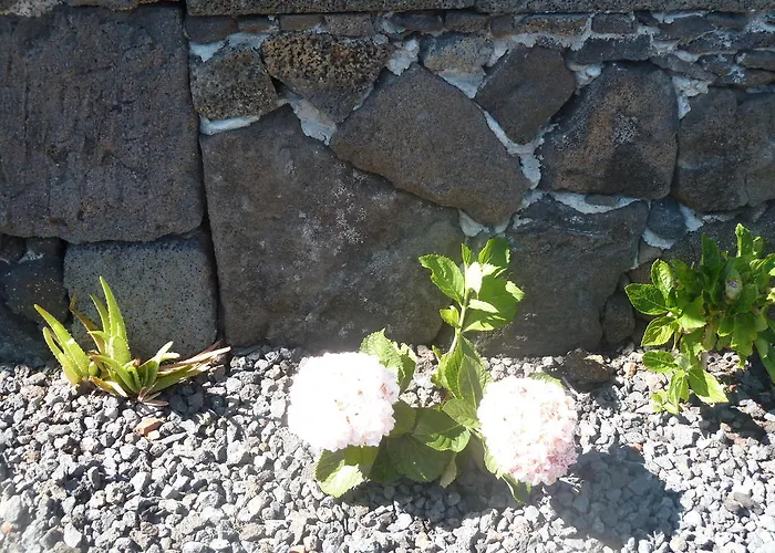 Casas Alto Da Bonanca *