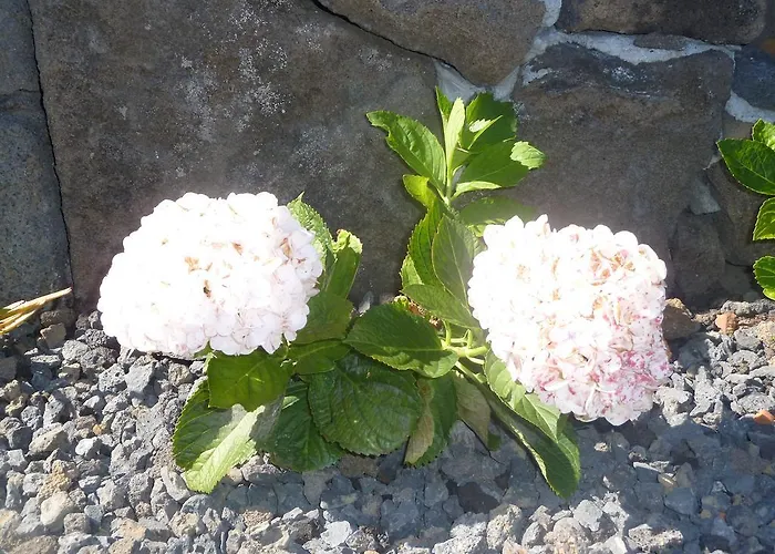 Casas Alto Da Bonanca *